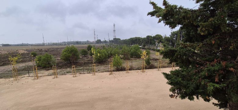 Apartamentos_VINEAM21